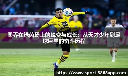 桑乔在绿茵场上的蜕变与成长：从天才少年到足球巨星的奋斗历程